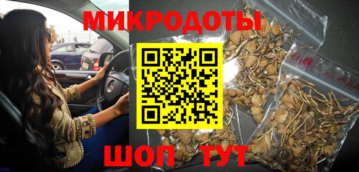 Донецк  Псилоцибиновые грибы MAGIC MUSHROOMS  Вход с VPN 