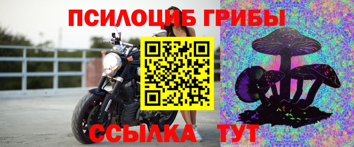 Галлюциногенные грибы мицелий Донецк